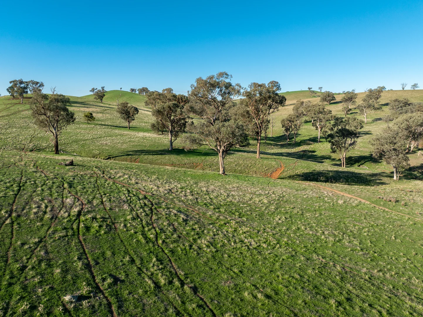 Additional image 12 of 1629 Darby Falls Road, Cowra NSW 2794