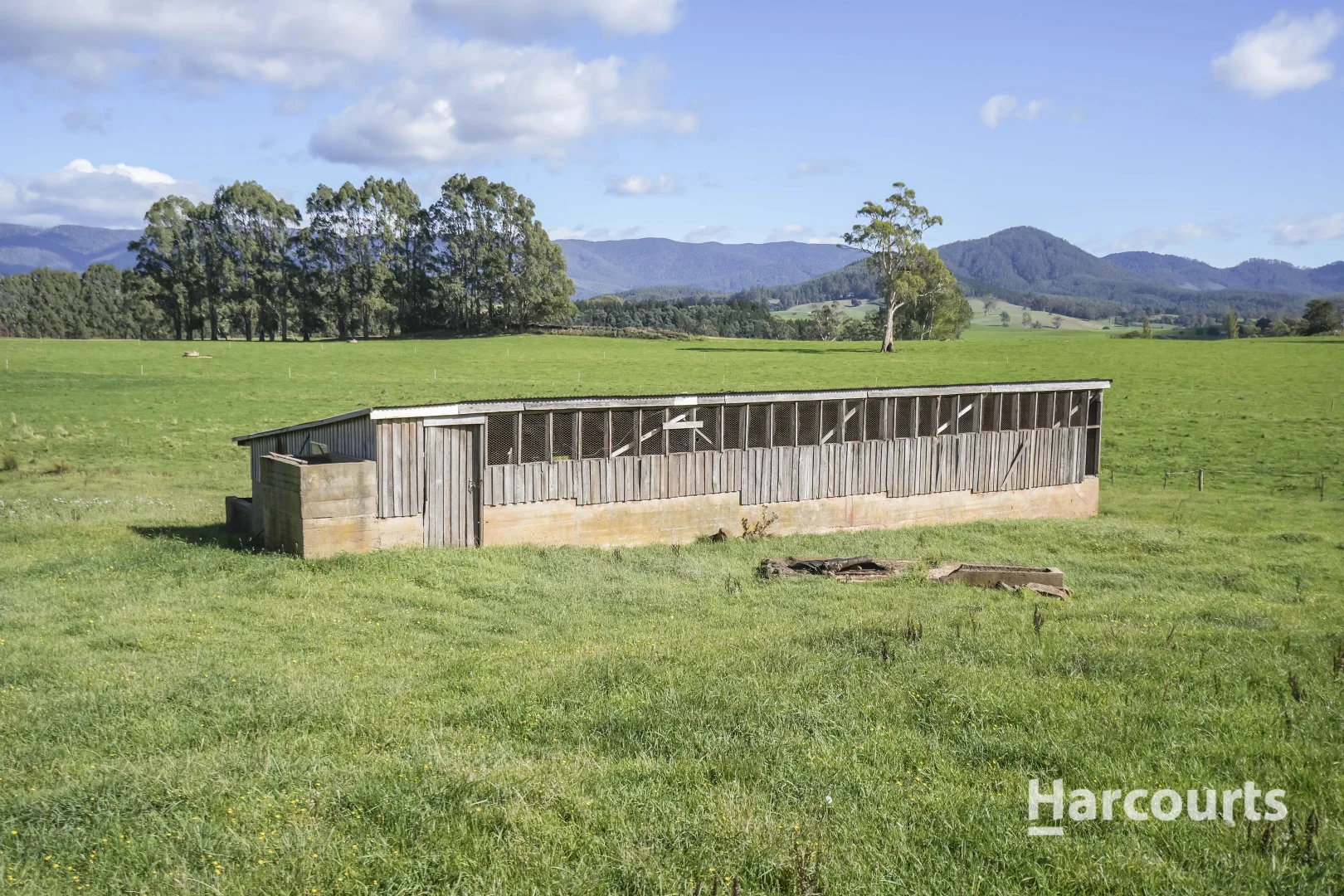 Additional image 26 of 214 Mathinna Plains Road, Ringarooma TAS 7263