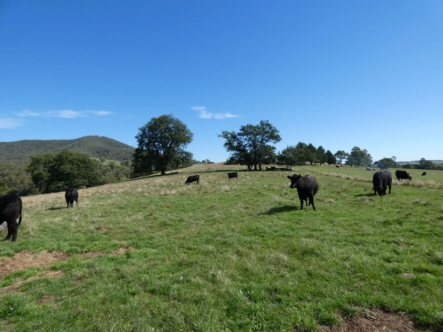 Additional image 27 of 70 Hill Road, Gruyere VIC 3770