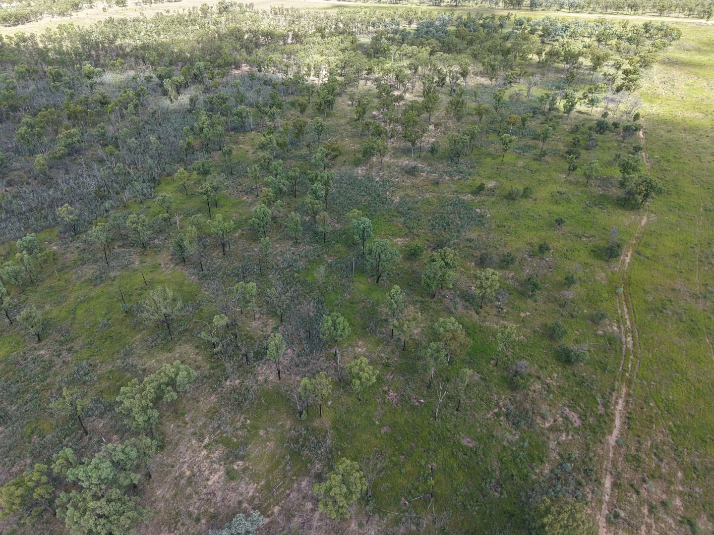 Additional image 33 of 14237 Capricorn Highway, Dingo QLD 4702