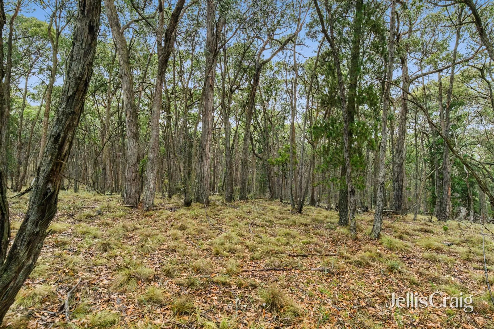 Additional image 4 of Lot 1 Skirkas Road, Buninyong VIC 3357