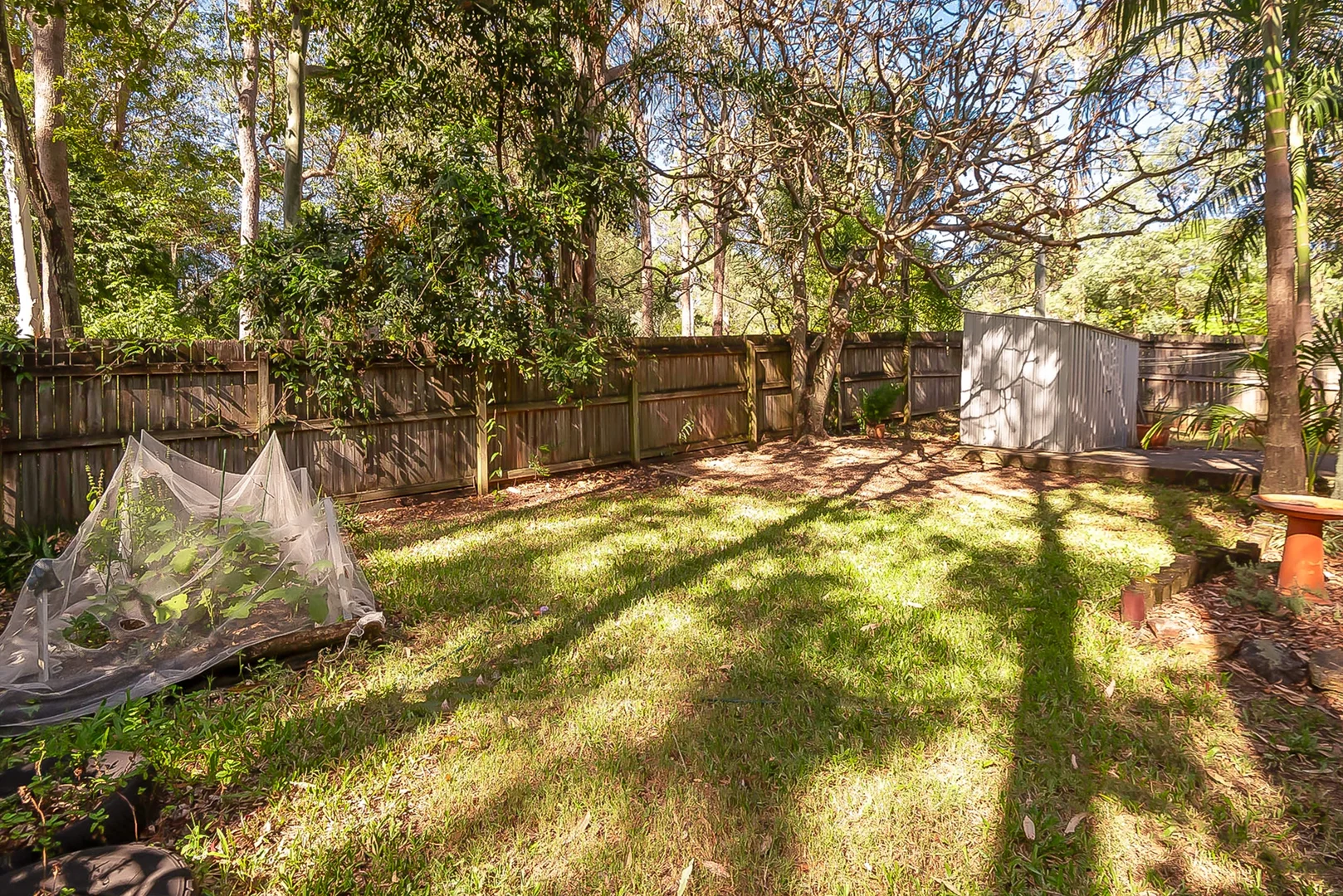 Additional image 17 of 30 Tanah Merah Avenue, Tanah Merah QLD 4128