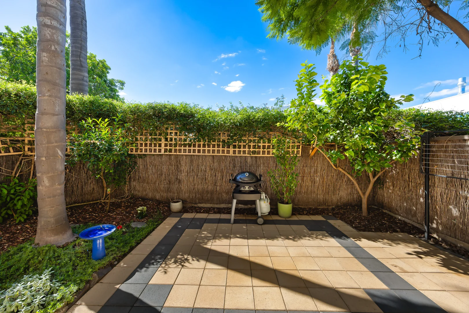 Additional image 13 of 1/2 Hare Street, Kurralta Park SA 5037