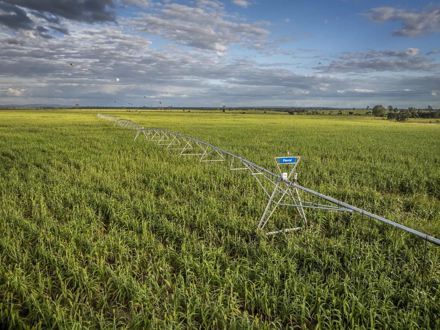 Additional image 35 of 1727 Boombah Road, Mackenzie QLD 4702