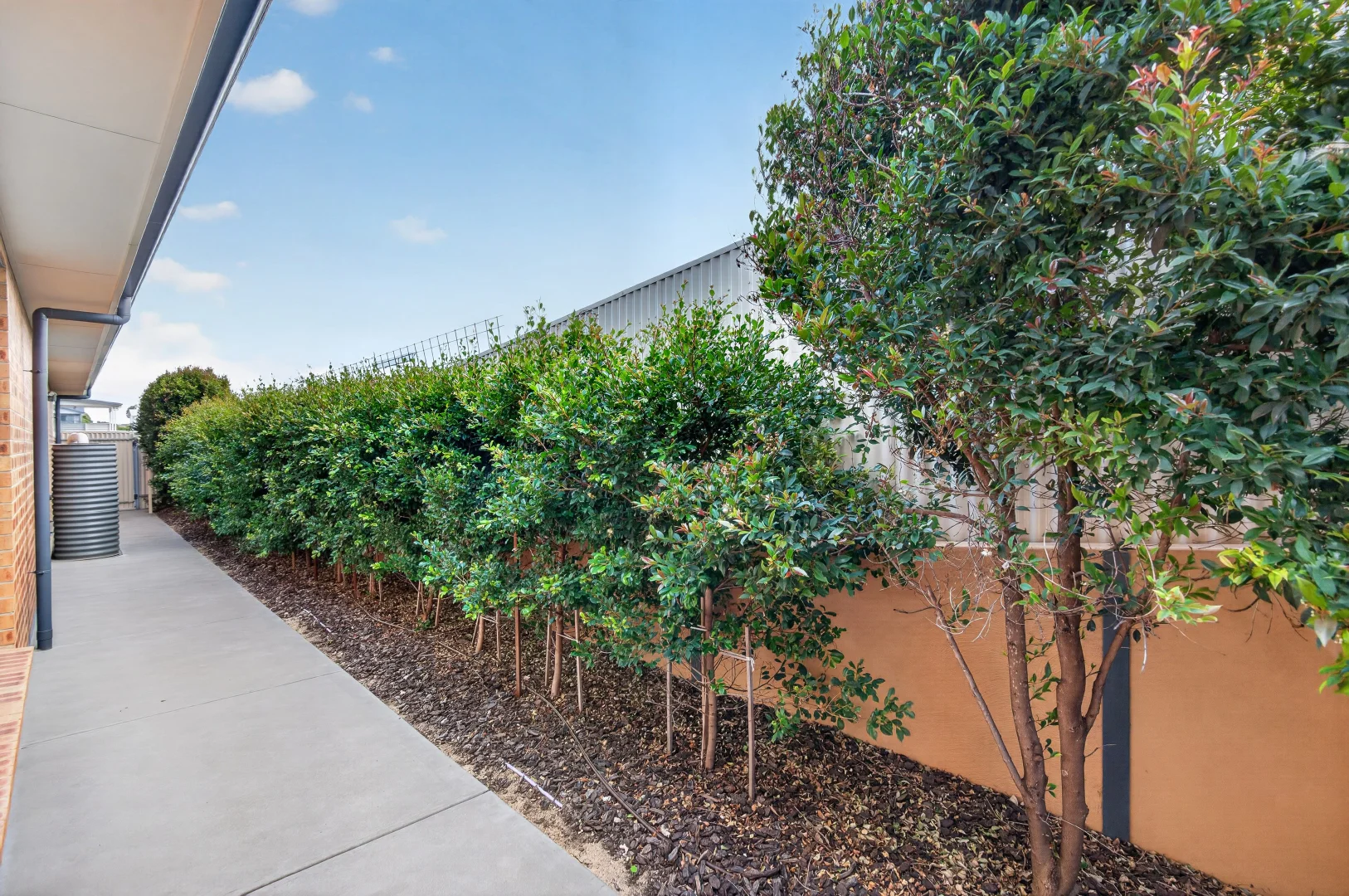 Additional image 35 of 16 Morrison Avenue, Middleton SA 5213