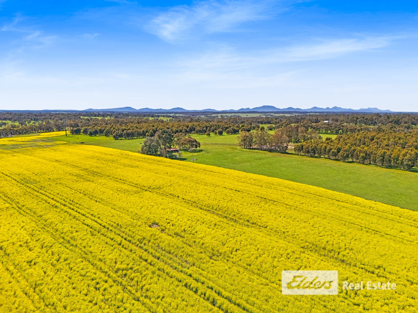 Additional image 4 of 225 West Beattie Road, Mount Barker WA 6324