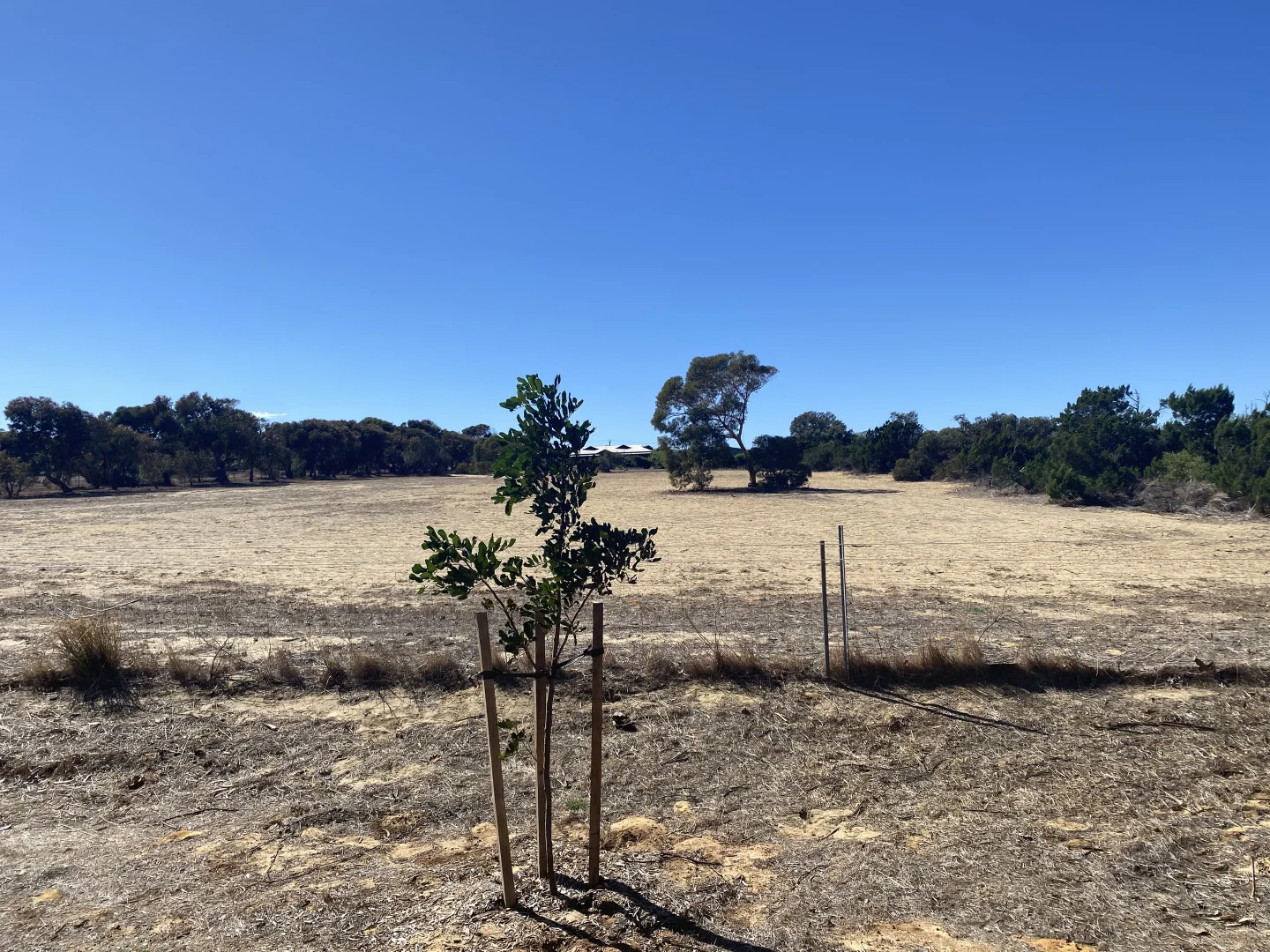 Additional image 7 of 23A Trant Road, Moresby WA 6530