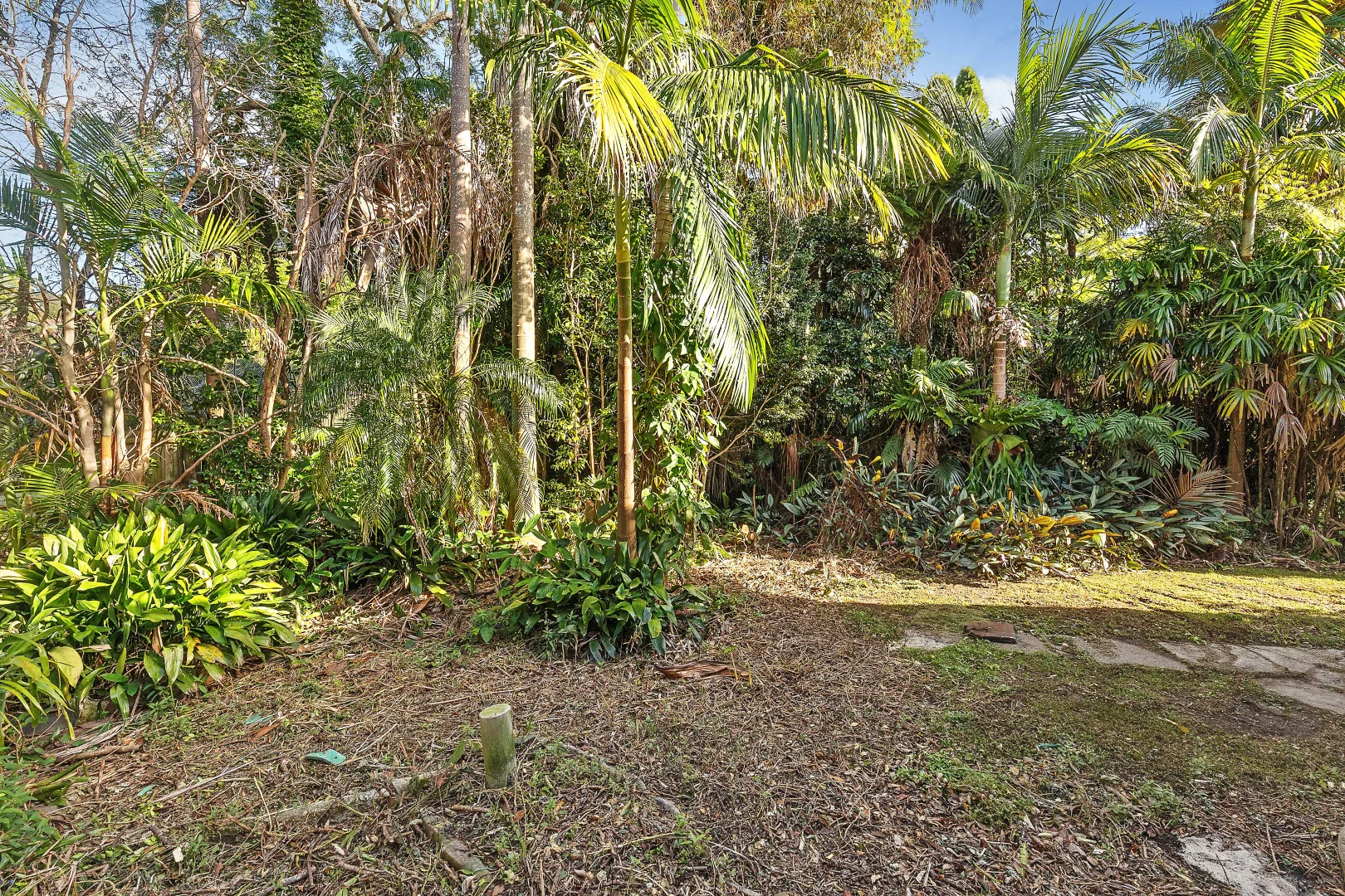 Additional image 7 of 35 Allard Avenue, Roseville Chase NSW 2069