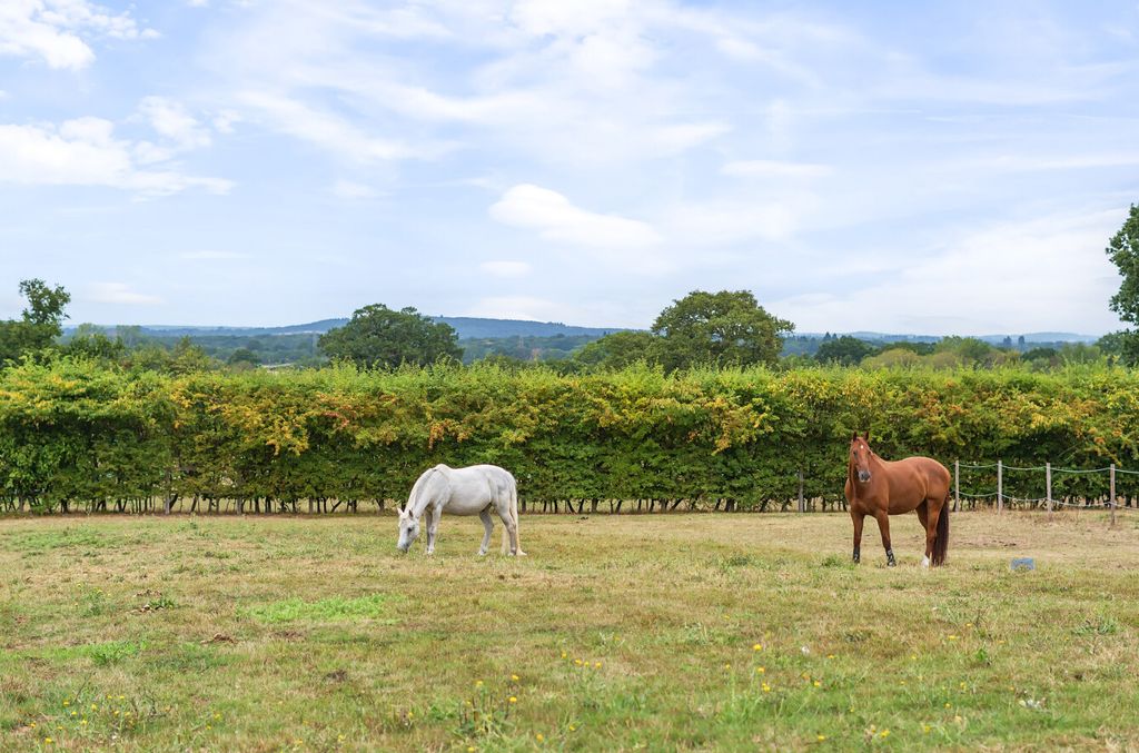 Additional image 5 of 6 bed detached house for saleGoughs Barn Lane, Jealotts Hill, Warfield, Berkshire RG42