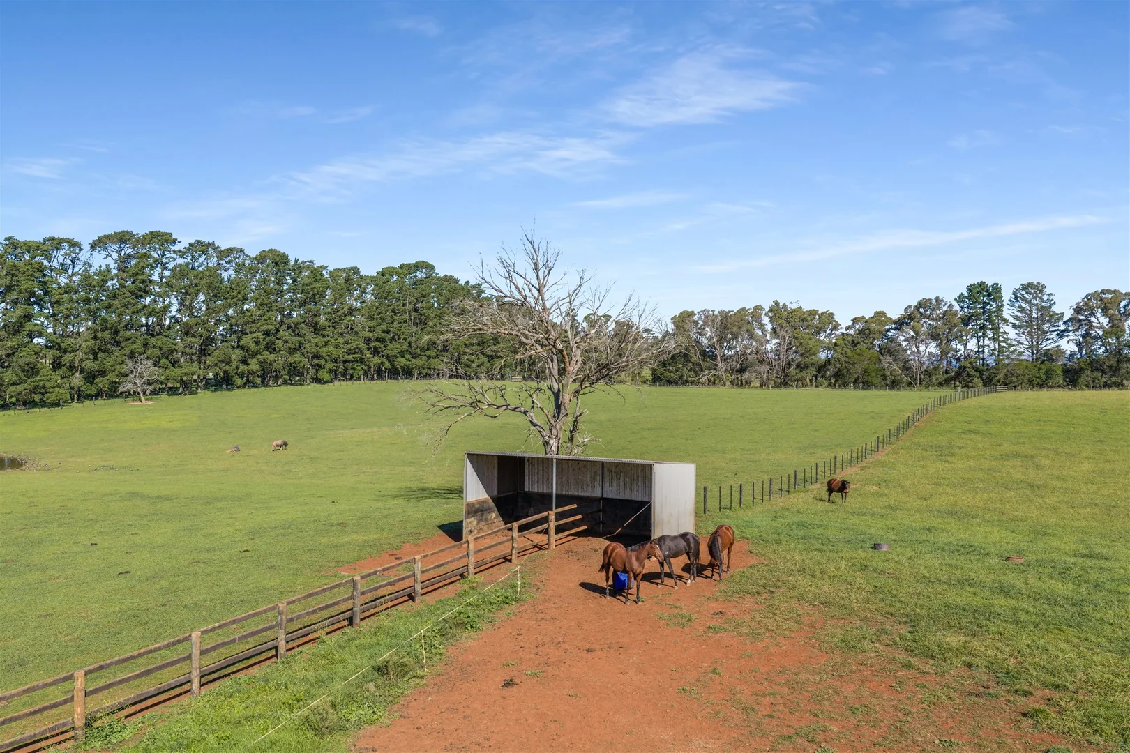 Additional image 39 of 464 Bumballa Road, Tallong NSW 2579