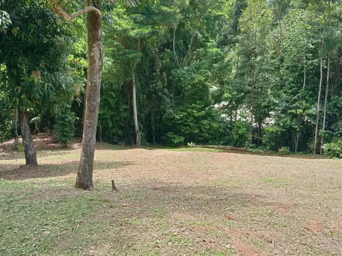 Additional image 7 of 68 Cutten Street, Bingil Bay QLD 4852