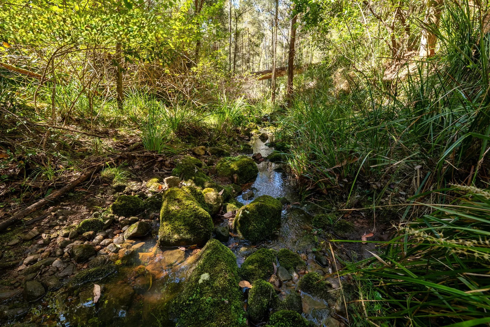 Additional image 8 of 123 News Road, Werombi NSW 2570