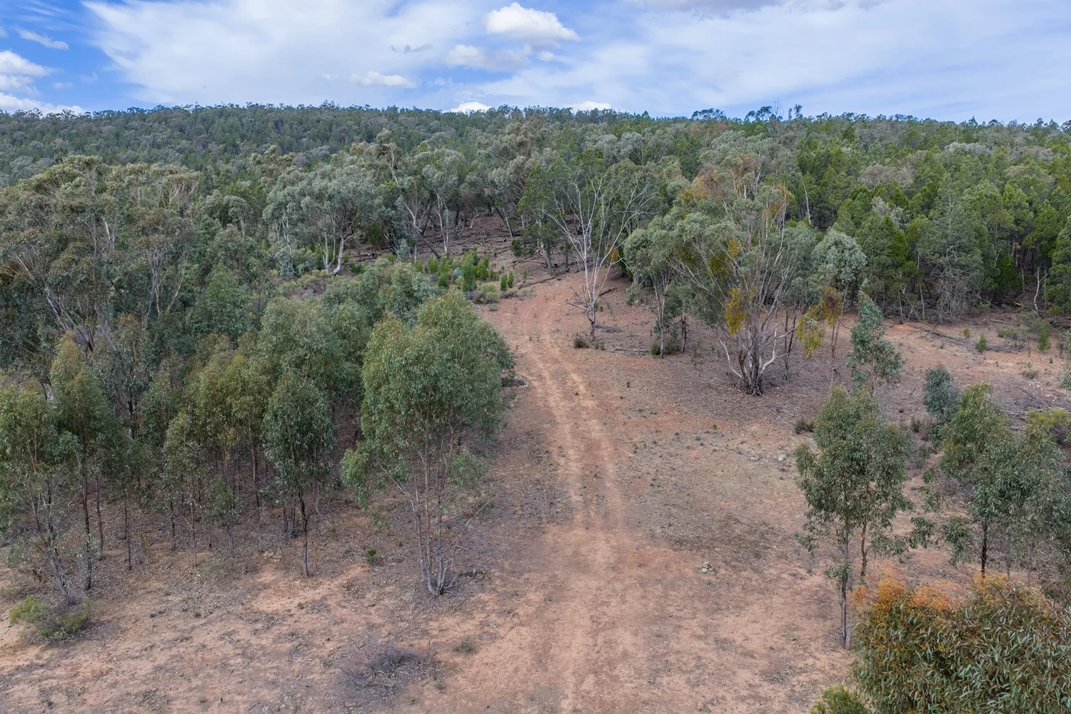Additional image 24 of 3705 Nanami Lane, Canowindra NSW 2804