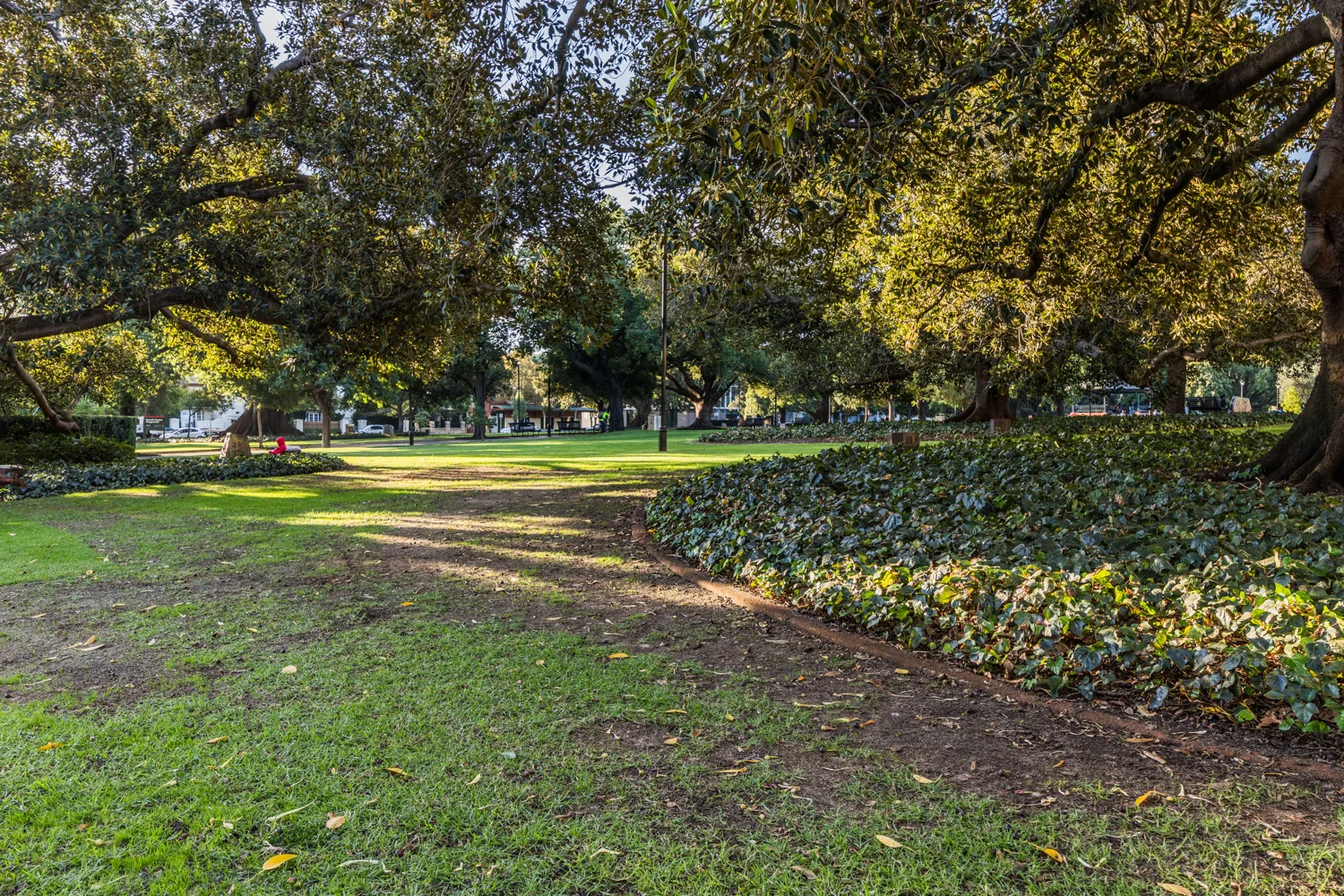 Additional image 11 of 11/191 James Street, Northbridge WA 6003