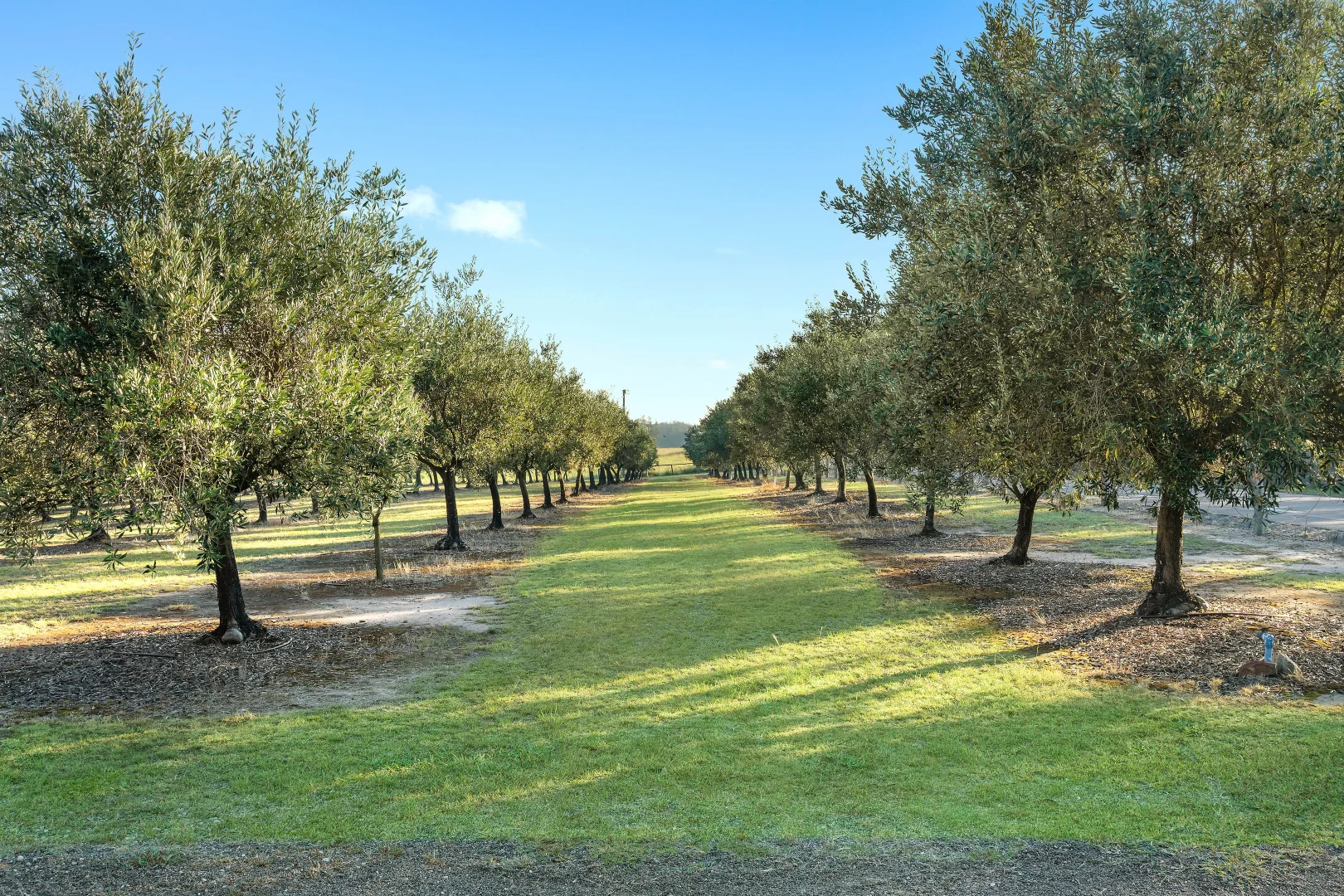 Additional image 18 of 456 Hermitage Road, Pokolbin NSW 2320