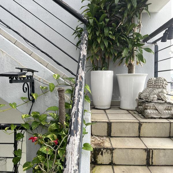 35 Parry Avenue photo 5