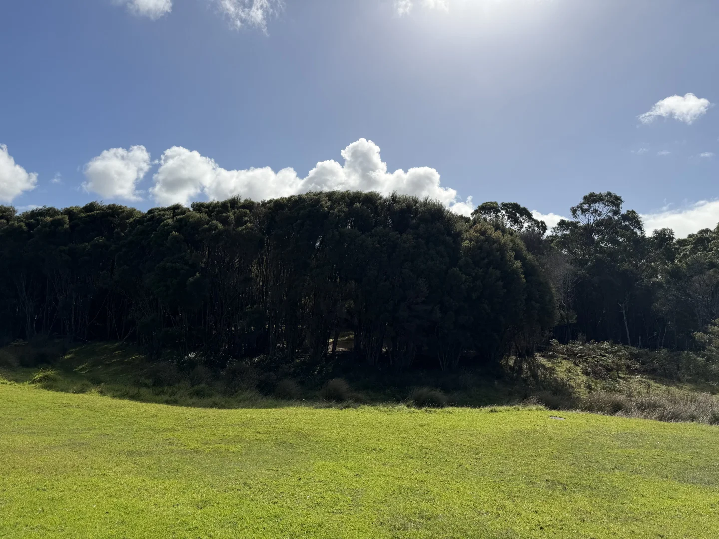 Additional image 10 of 8 Ti-Tree Drive, Grassy TAS 7256