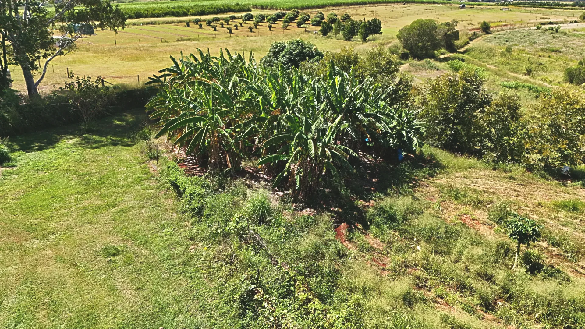 Additional image 8 of 49 South Isis Road, South Isis QLD 4660