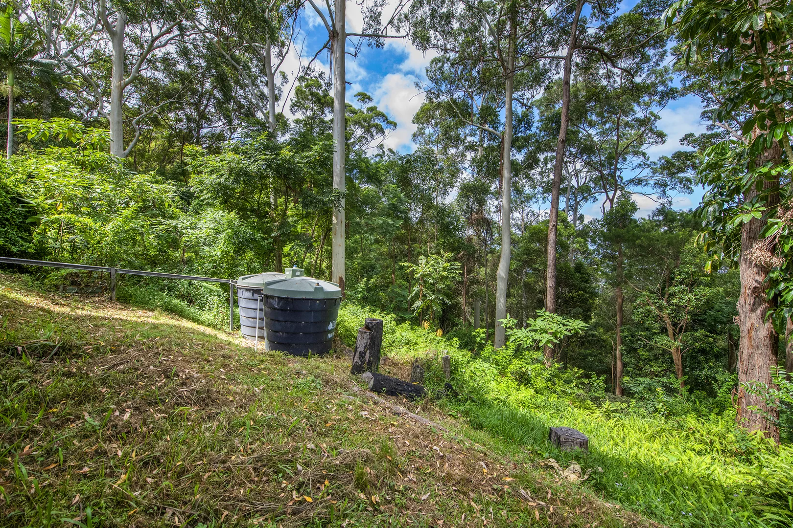 Additional image 21 of 12 Gretty Lane, Lower Beechmont QLD 4211