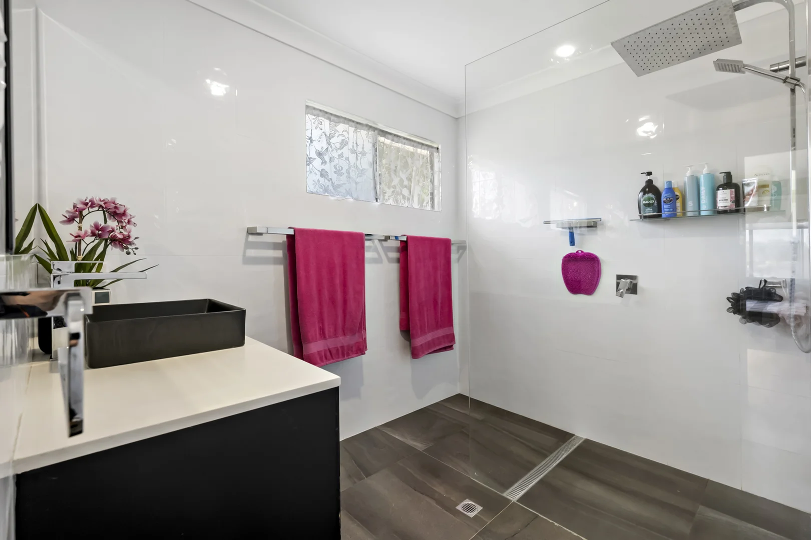 Additional image 5 of 43 Alexander Avenue, Kallangur QLD 4503