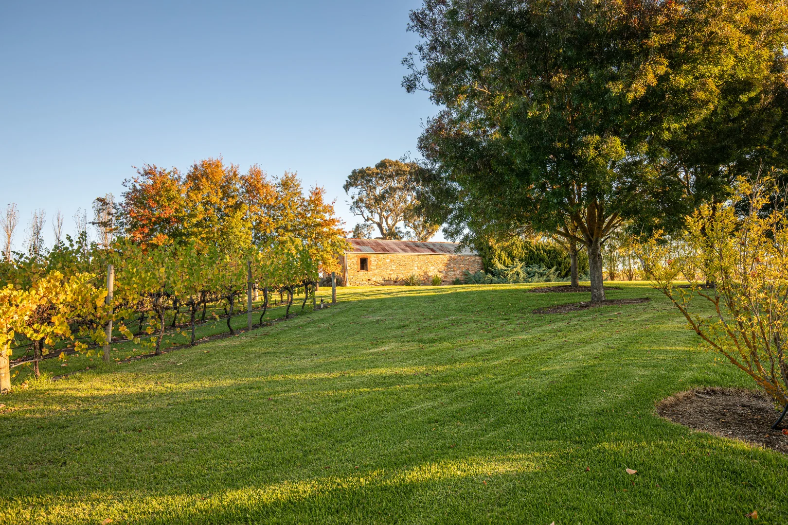 Additional image 33 of 156 Newman Road, Charleston SA 5244