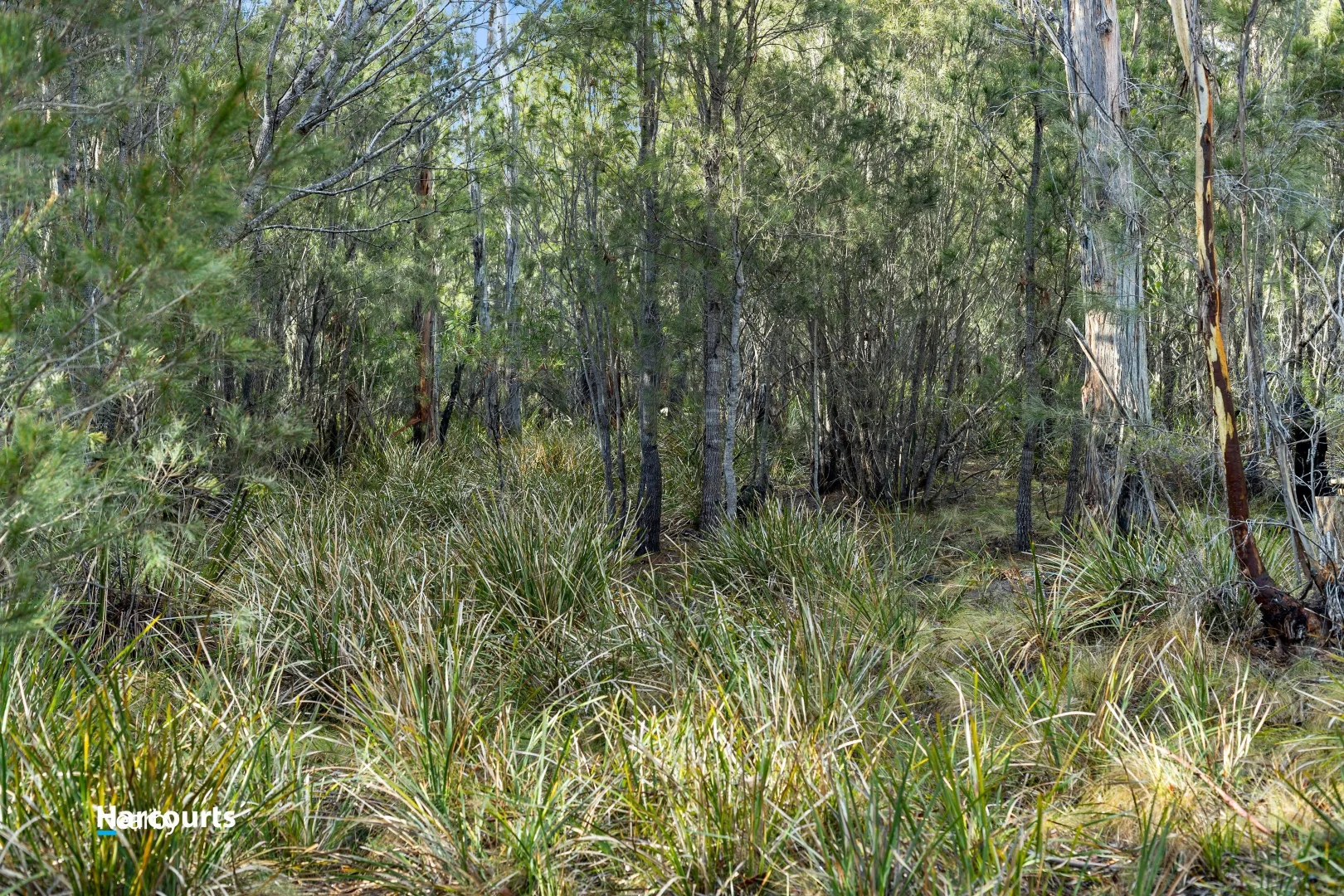Additional image 5 of Lot 1 Scarrs Road, Garden Island Creek TAS 7112