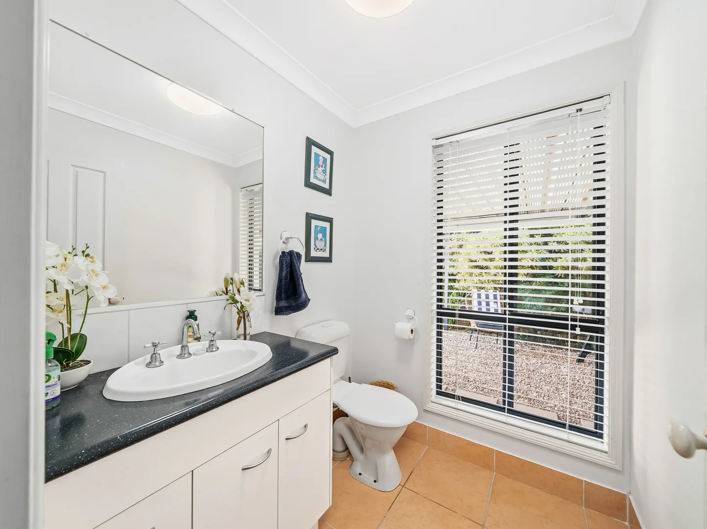 Additional image 23 of 11 Diamantina Court, Murrumba Downs QLD 4503