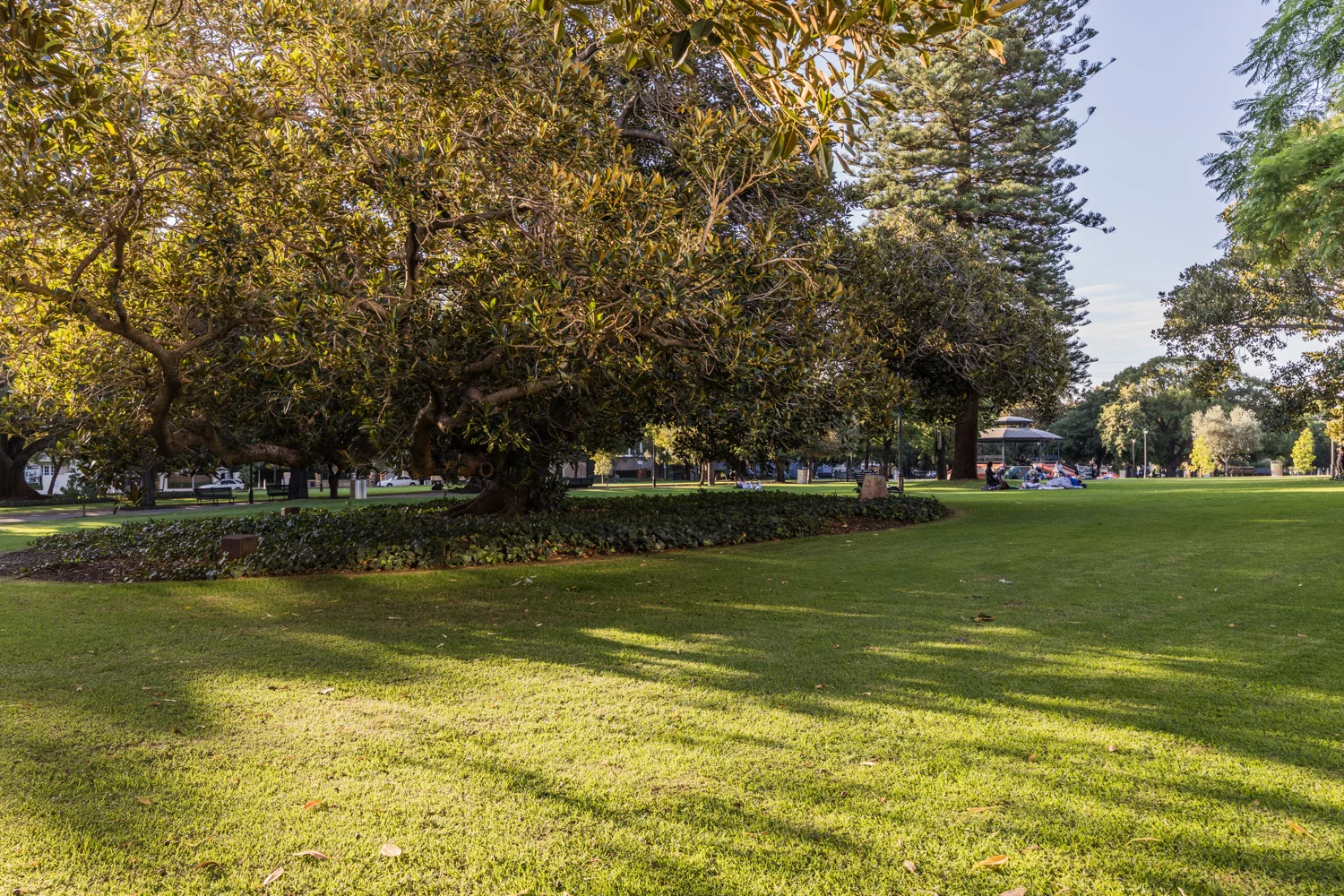 Additional image 13 of 11/191 James Street, Northbridge WA 6003