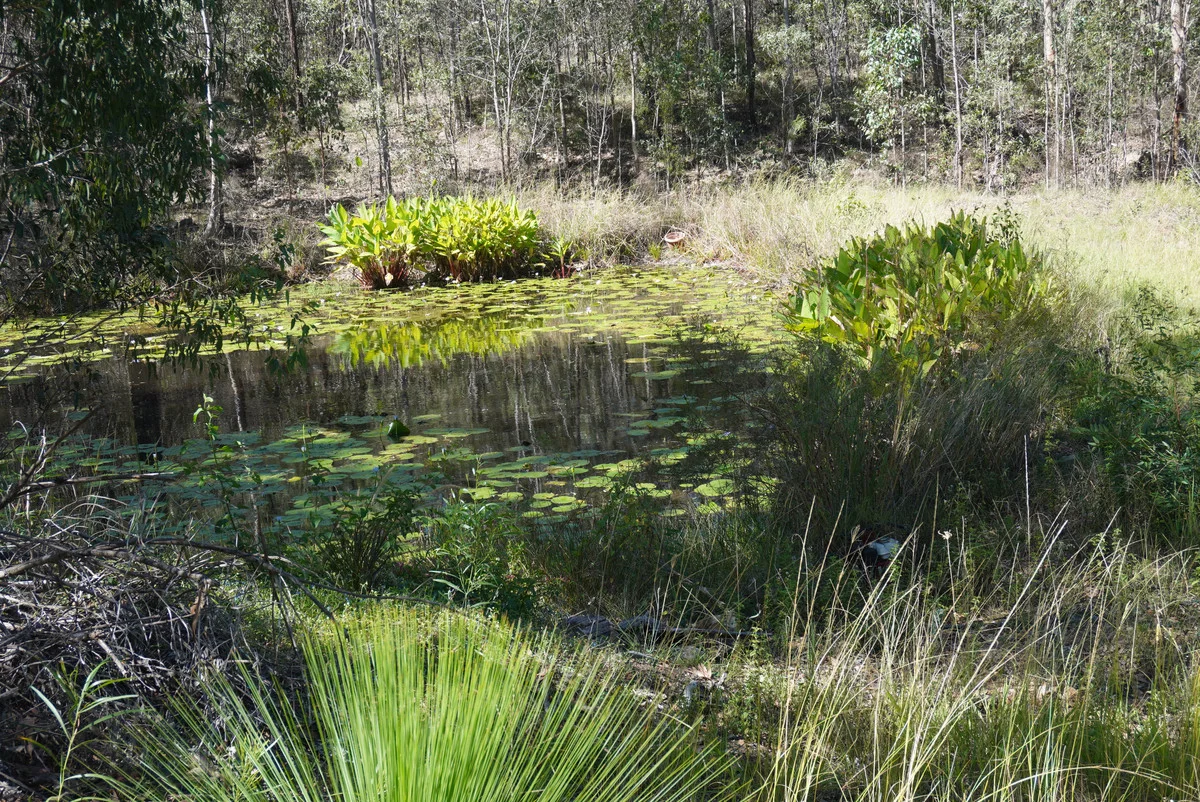 Additional image 23 of 619 Bulldog Road, Bulldog NSW 2469