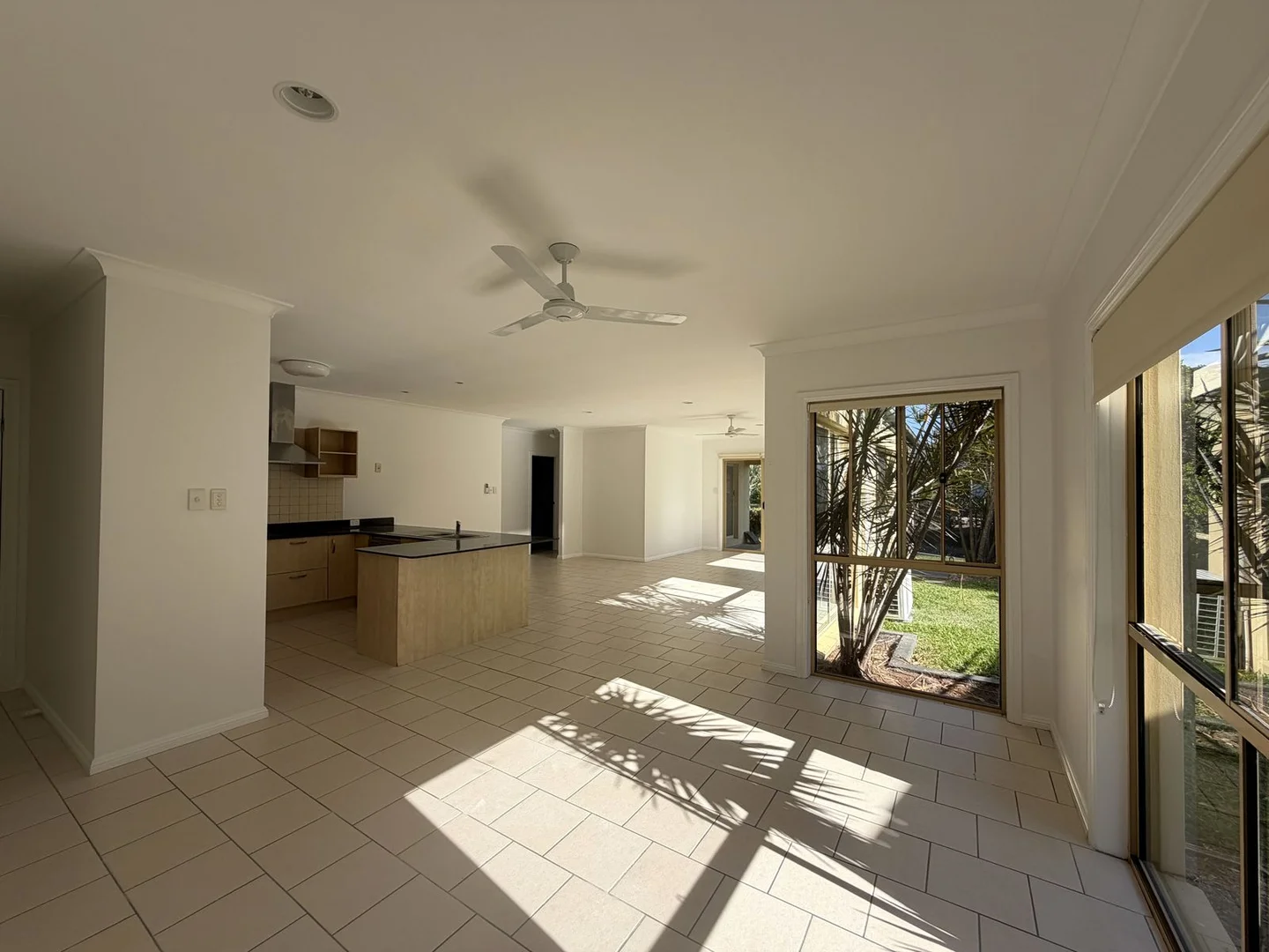 56 Peach Drive, Robina QLD 4226 photo 2
