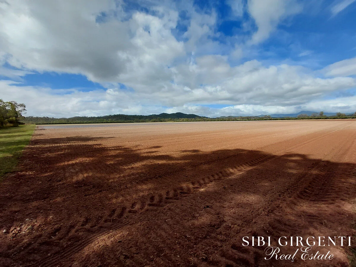 Additional image 8 of 262 Gilmore Road, Mareeba QLD 4880