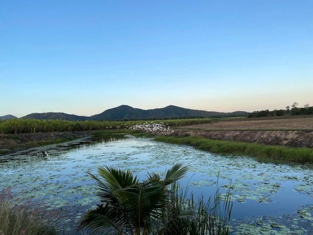 Additional image 19 of Pinnacle QLD 4741