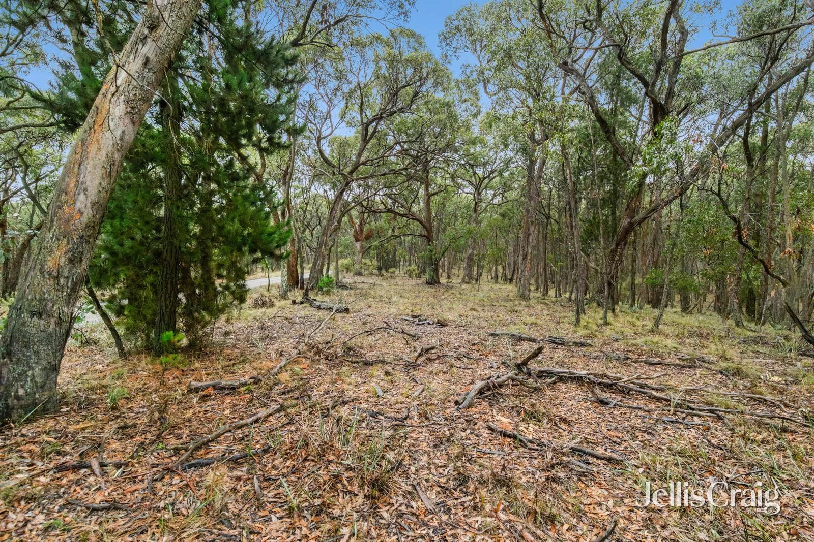 Additional image 6 of Lot 1 Skirkas Road, Buninyong VIC 3357