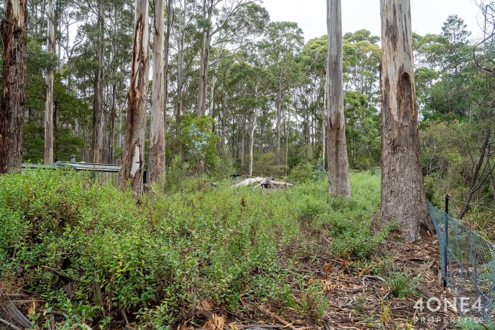 Additional image 5 of 334 Blowhole Road, Eaglehawk Neck TAS 7179