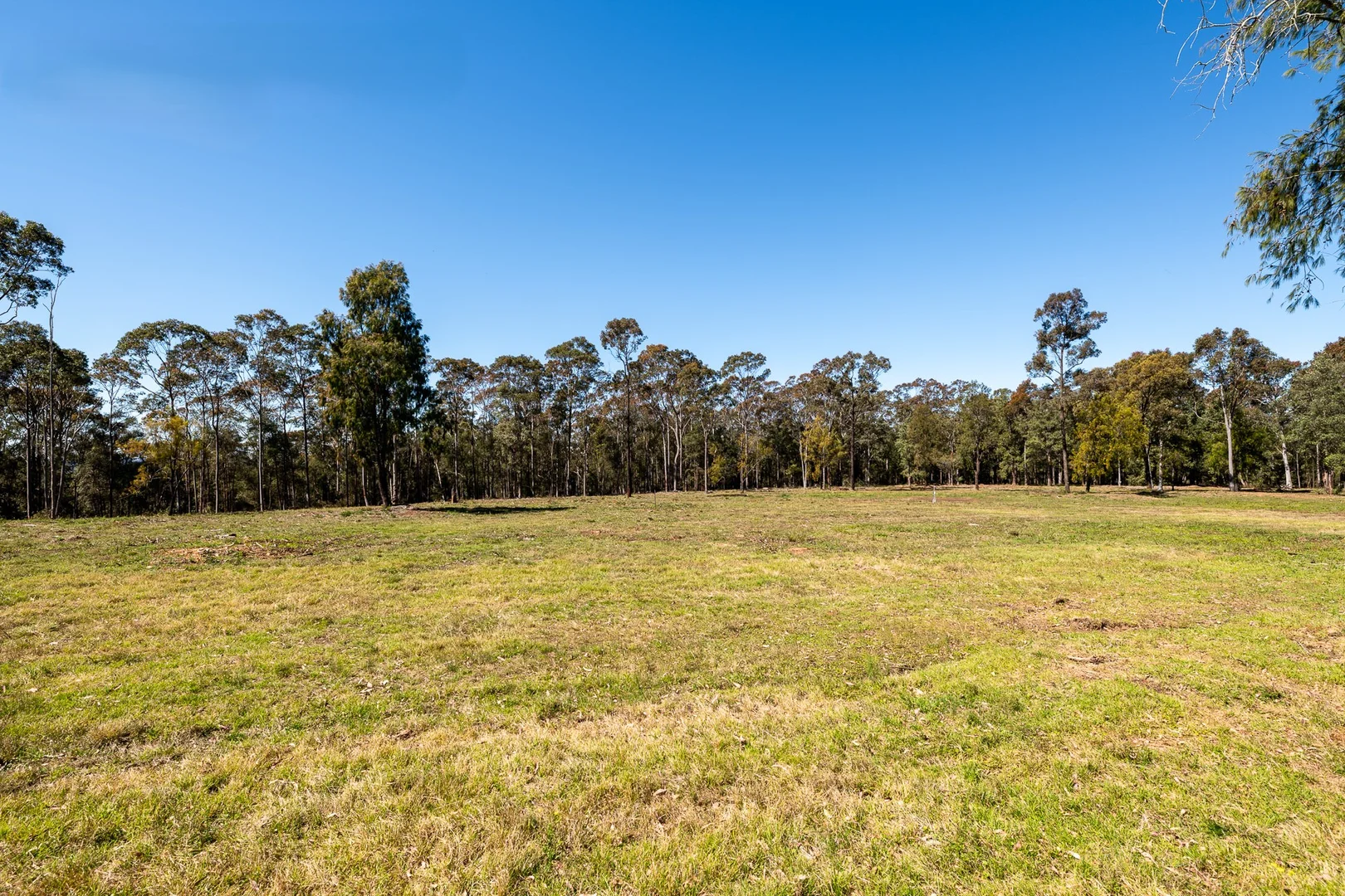Additional image 6 of 123 News Road, Werombi NSW 2570