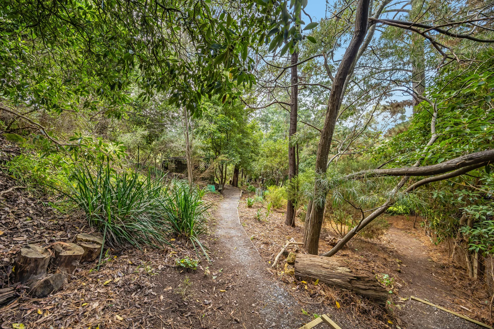Additional image 22 of 174 Carey Gully Road, Mount George SA 5155