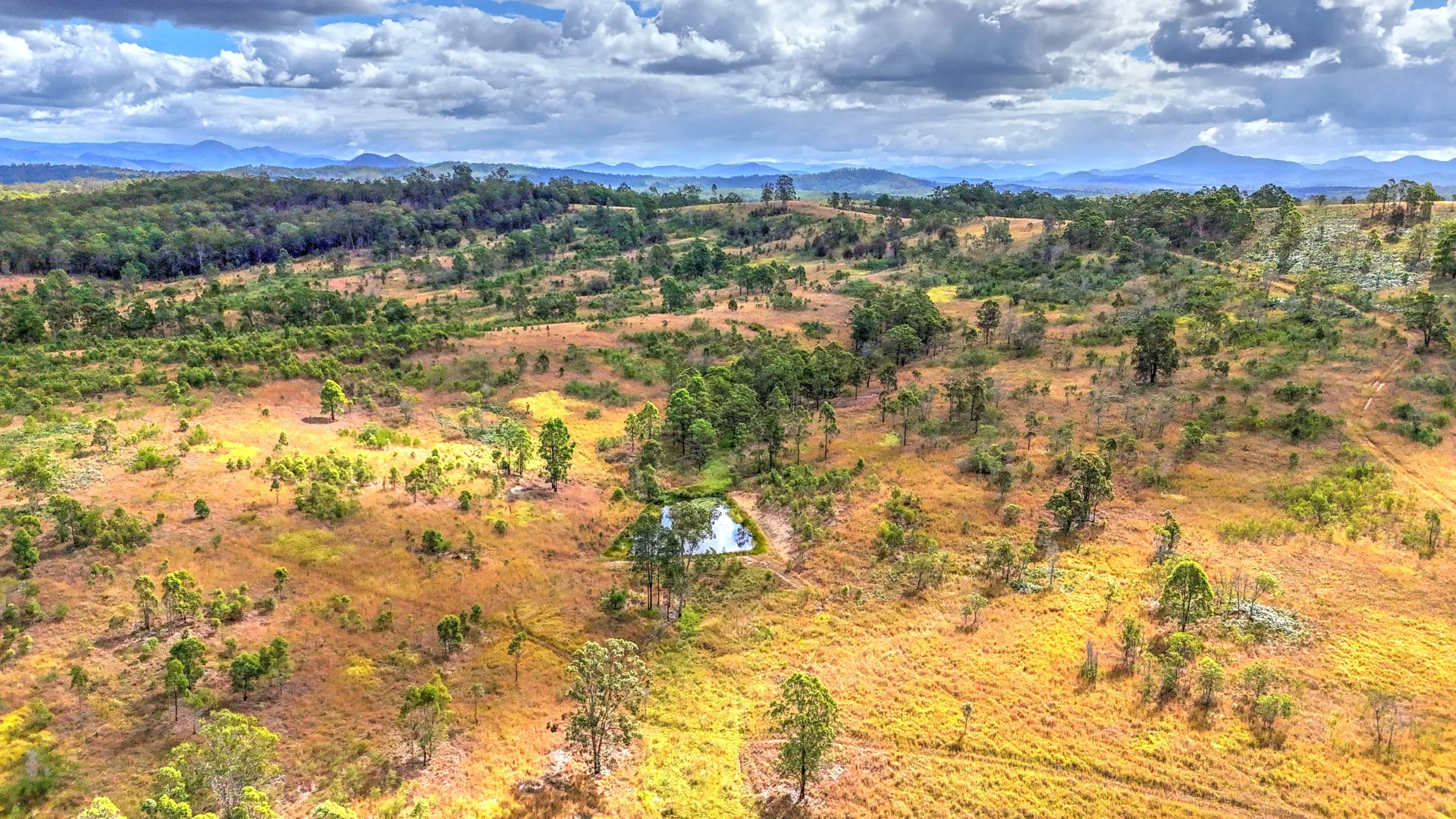 Additional image 4 of Lot/101 & 99 Silverwood Ave, Temagog NSW 2440