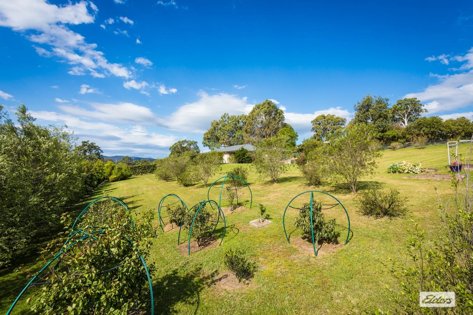 Additional image 30 of 4 Bridle Place, Bega NSW 2550