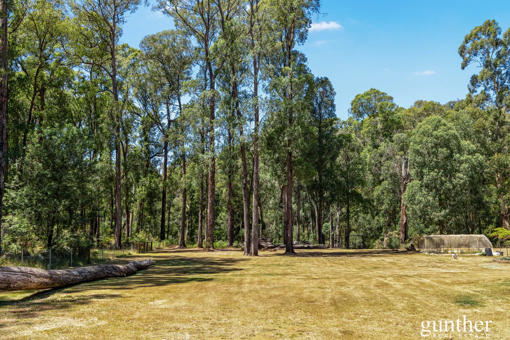 Additional image 18 of 150 Manby Road, Narbethong VIC 3778