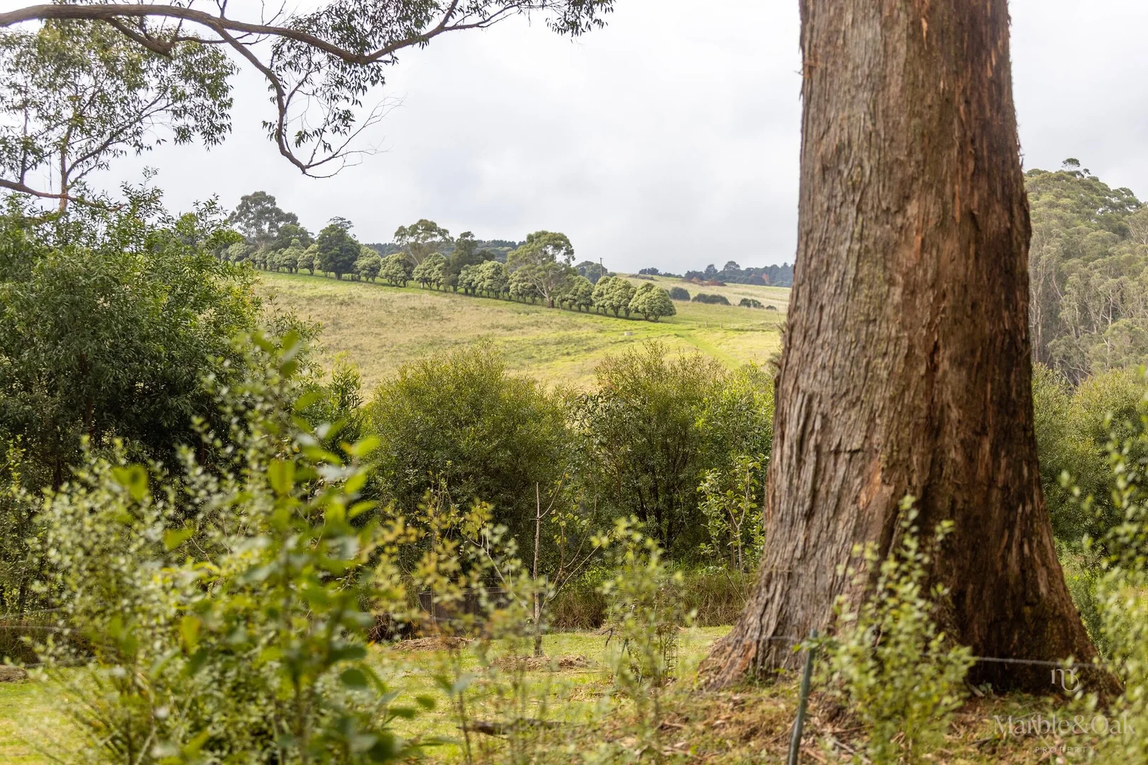 Additional image 21 of Wildes Meadow NSW 2577