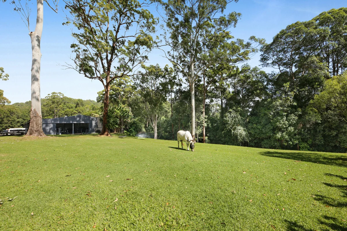 Additional image 13 of 52B Syndicate Road, Tallebudgera Valley QLD 4228