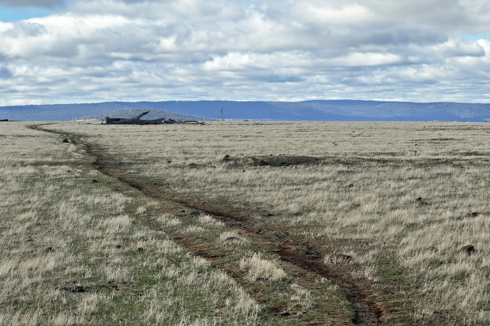 Additional image 15 of . McGuires Marsh Road, Osterley TAS 7140
