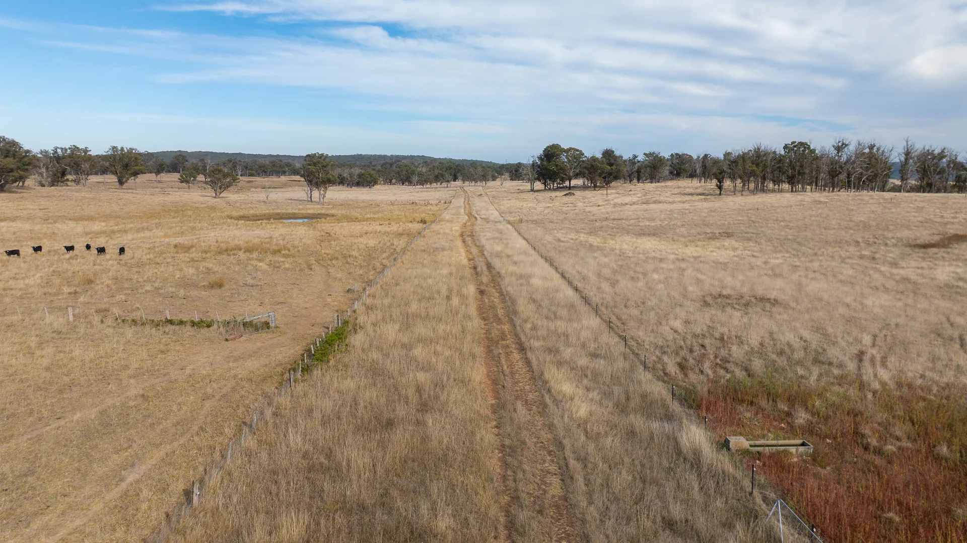 Additional image 26 of "Rose Valley" 379 Toms Gully Road, Black Mountain NSW 2365