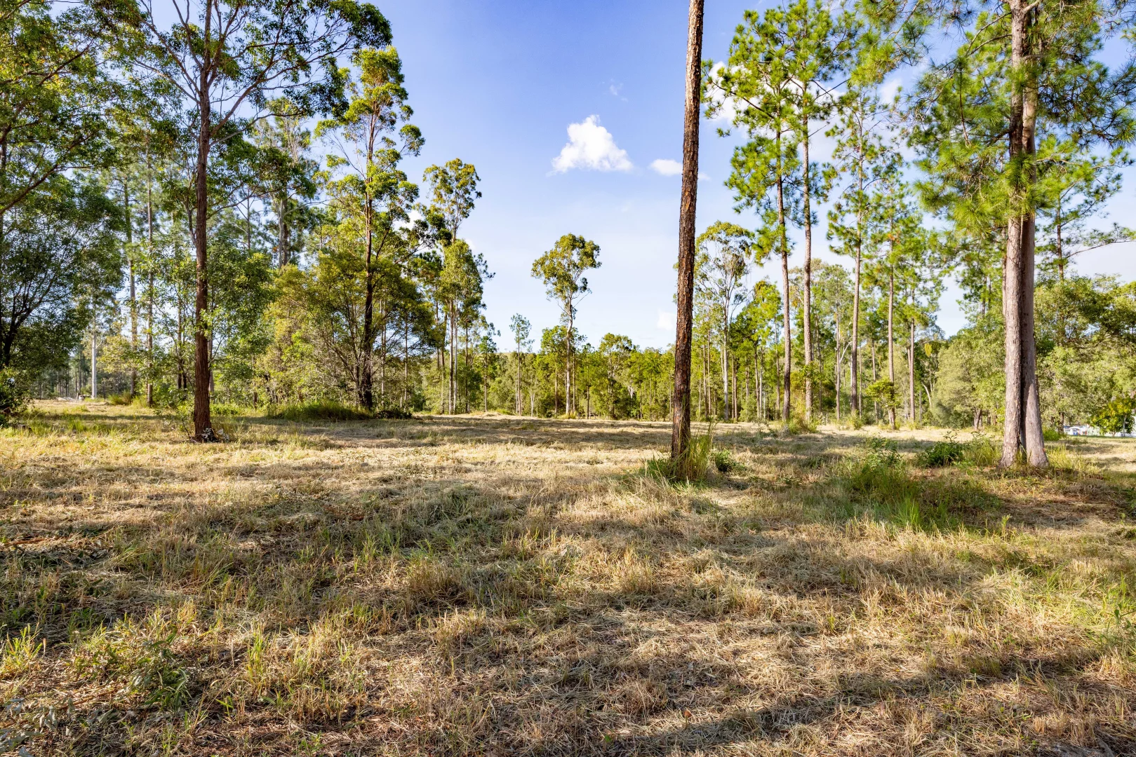Additional image 2 of Lot 205 & 206 Arborfive Road, Glenwood QLD 4570