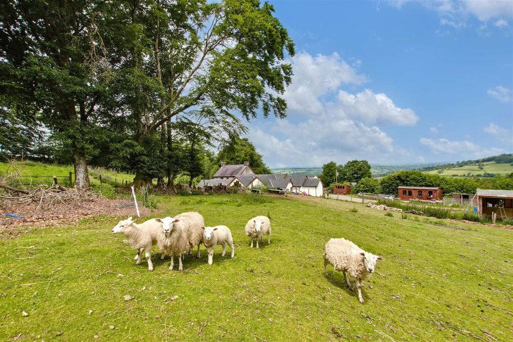 Additional image 64 of 6 bed farm for saleCellan, Lampeter SA48