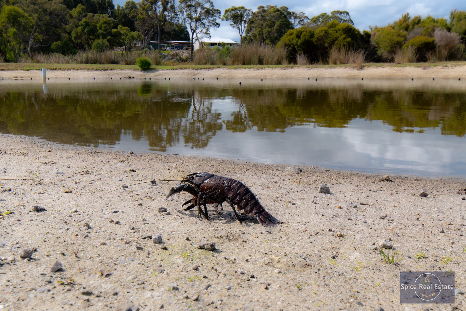 Additional image 22 of 126 Bidewell Road, Kordabup WA 6333