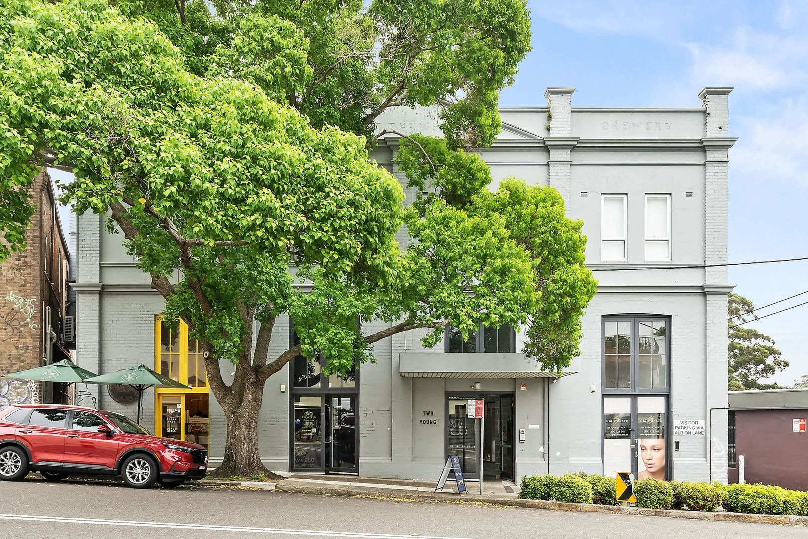 1/2 Young Street, Annandale NSW 2038