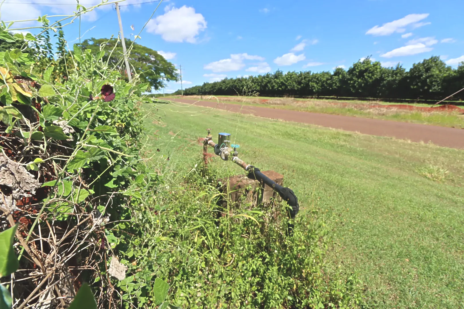 Additional image 4 of 49 South Isis Road, South Isis QLD 4660