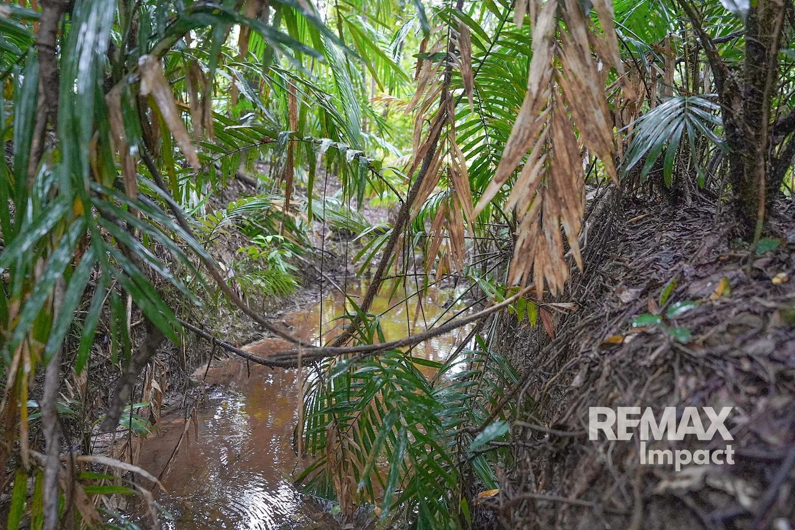 Additional image 3 of 49 Windsor View Road, Julatten QLD 4871