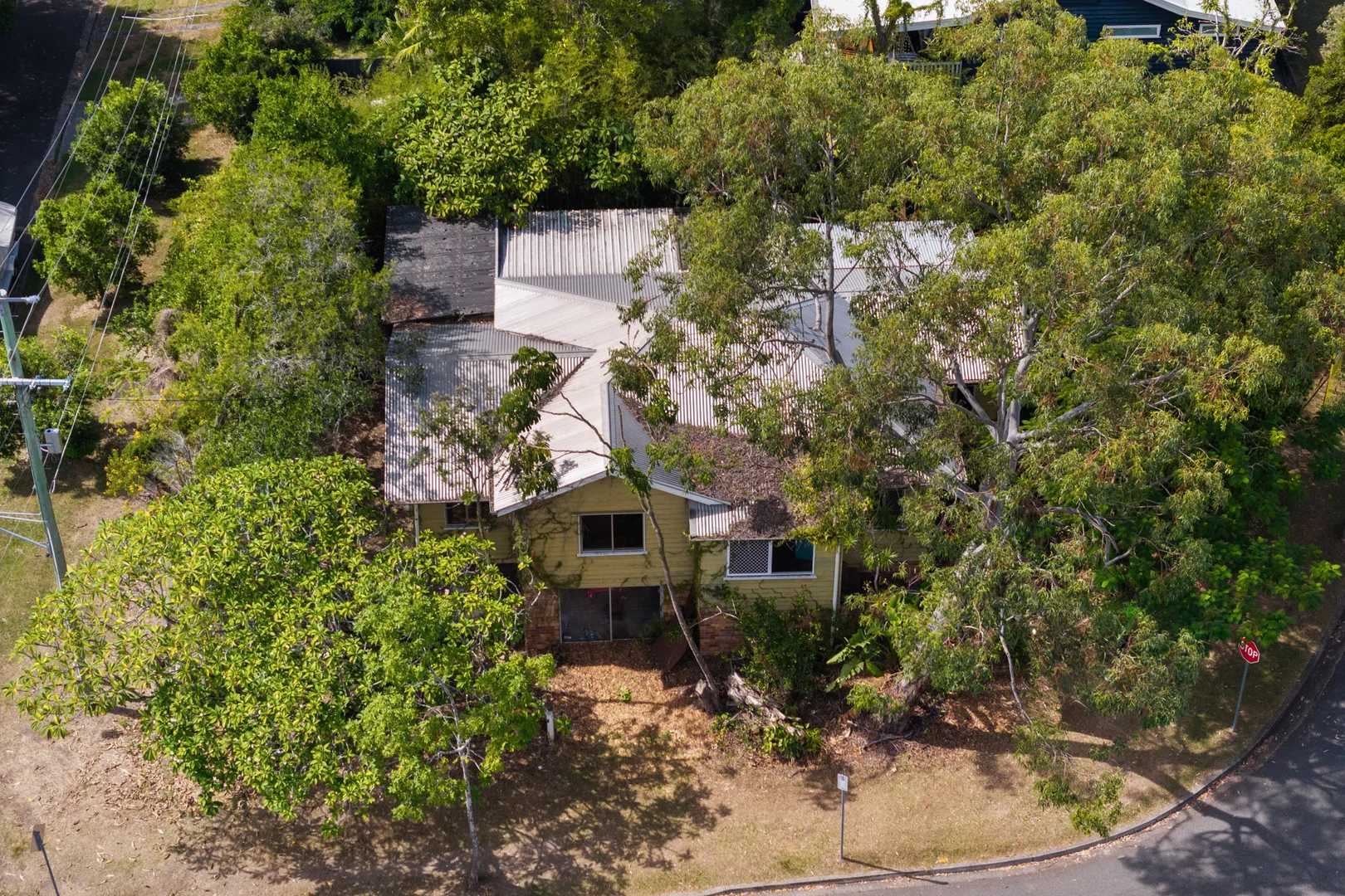 81 McCaul Street, Taringa QLD 4068 photo 4